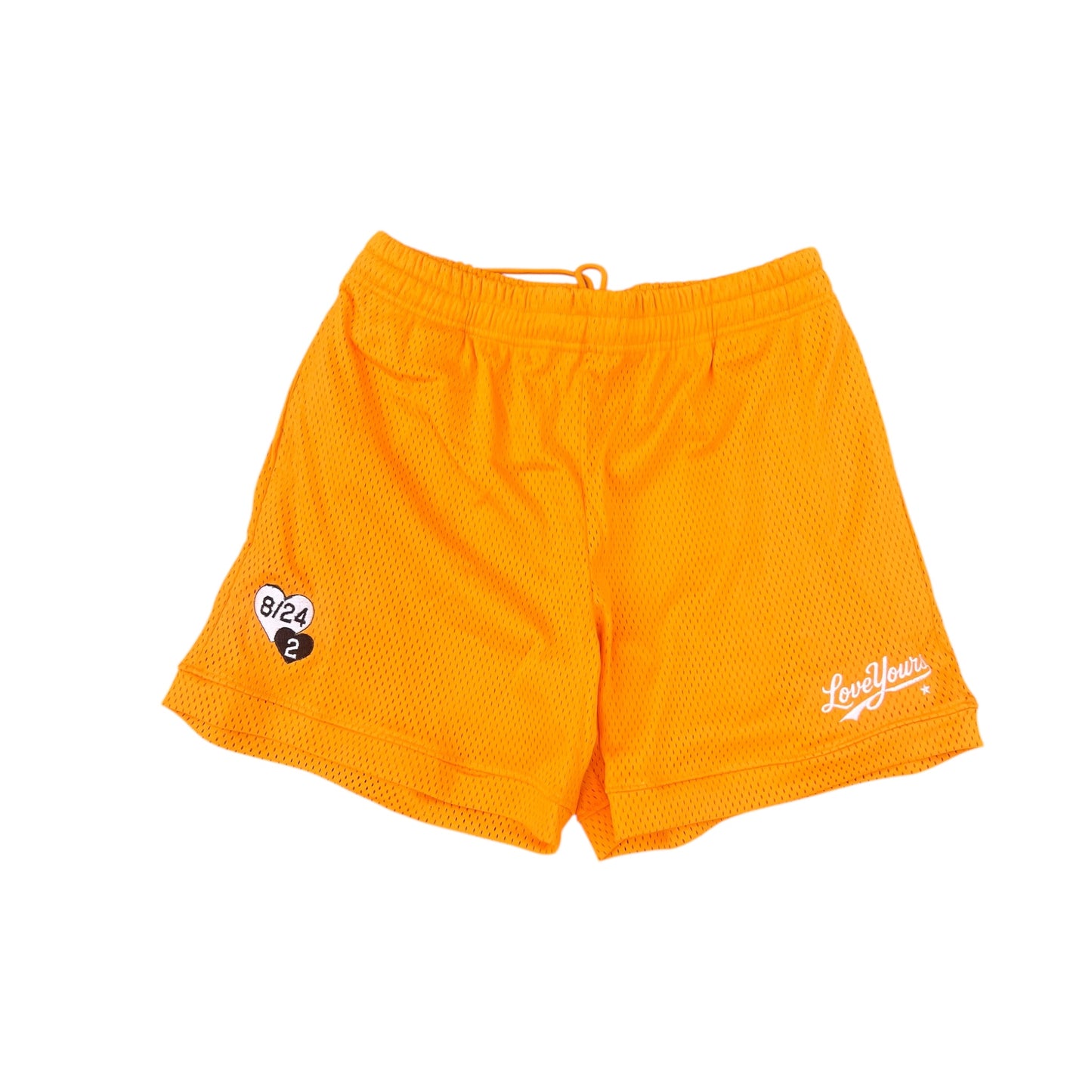 Mesh Shorts