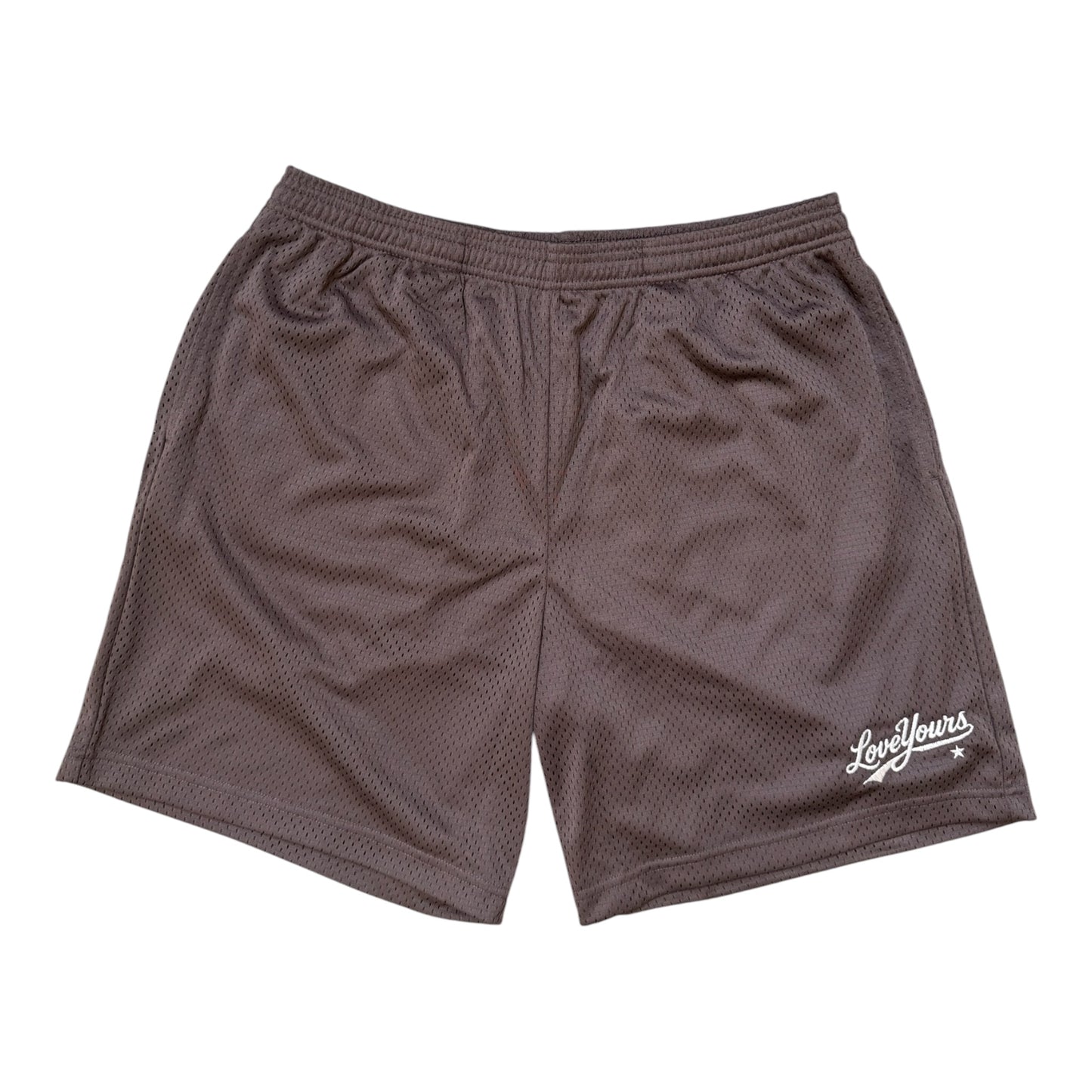 Premium Mesh Shorts